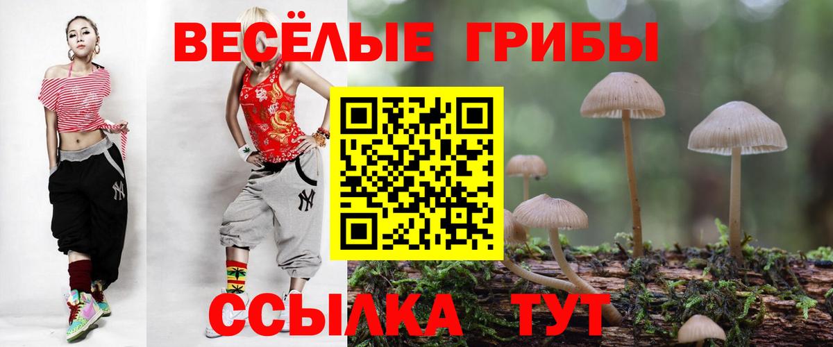 Галлюциногенные грибы GOLDEN TEACHER  Галлюциногенные грибы прущие грибы  Северобайкальск  Вход с VPN 